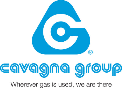 Cavagna Group logo with blue and white design on a white background